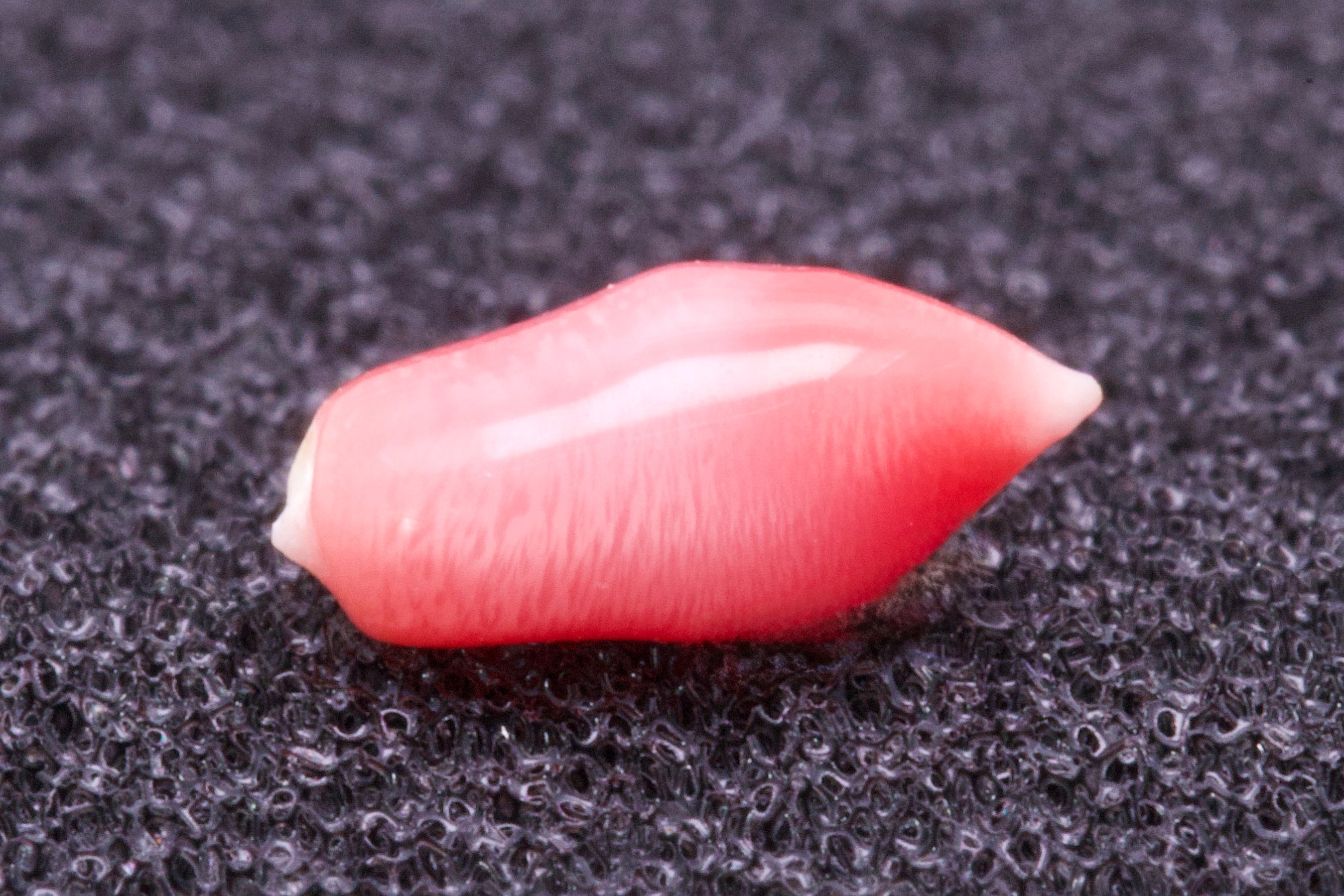 0.635ct Multi-Pink Pearl