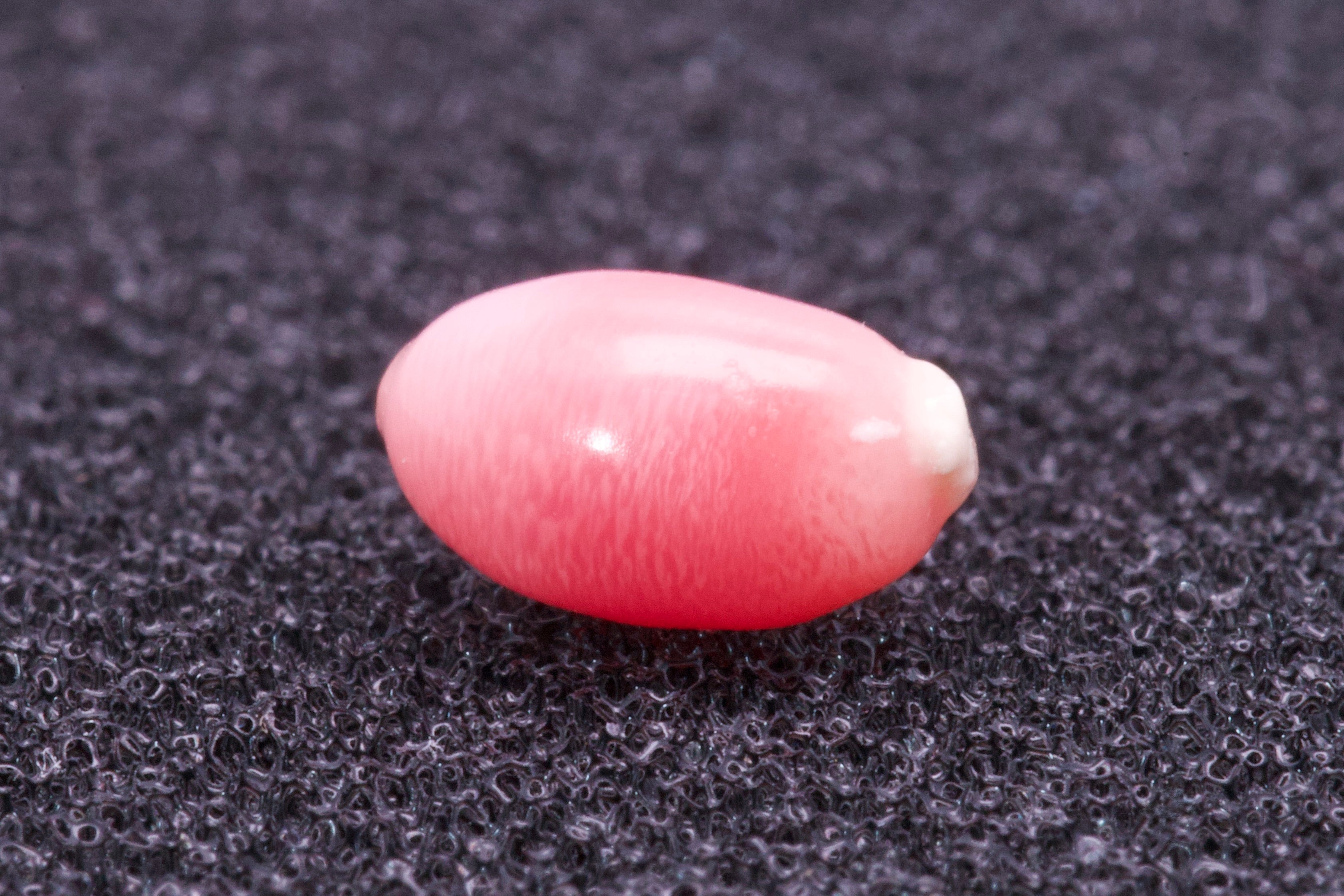 0.87ct Multi-Pink Pearl