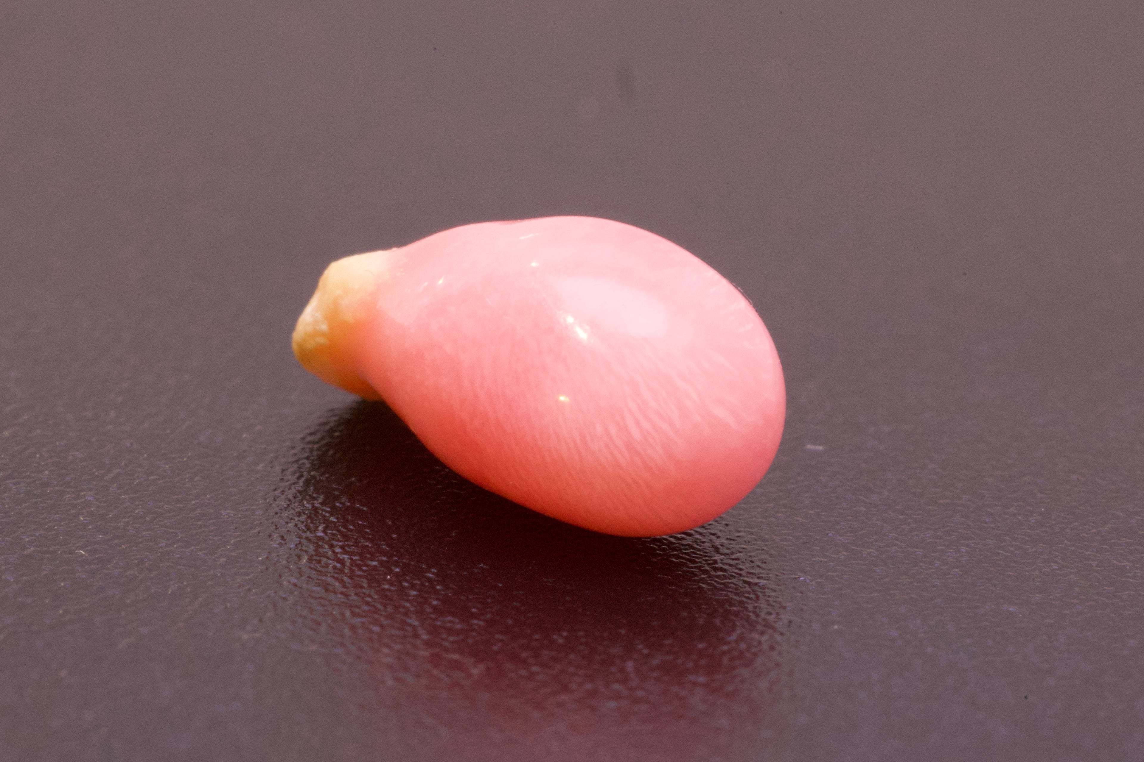 3.325ct Pink Pearl