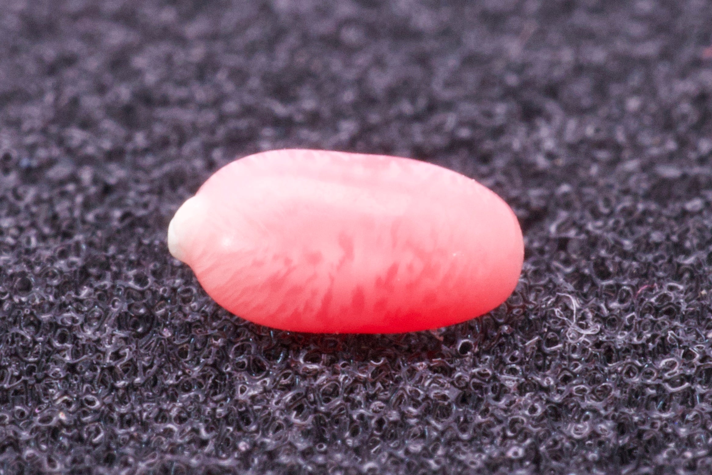0.4ct Multi-Pink Pearl