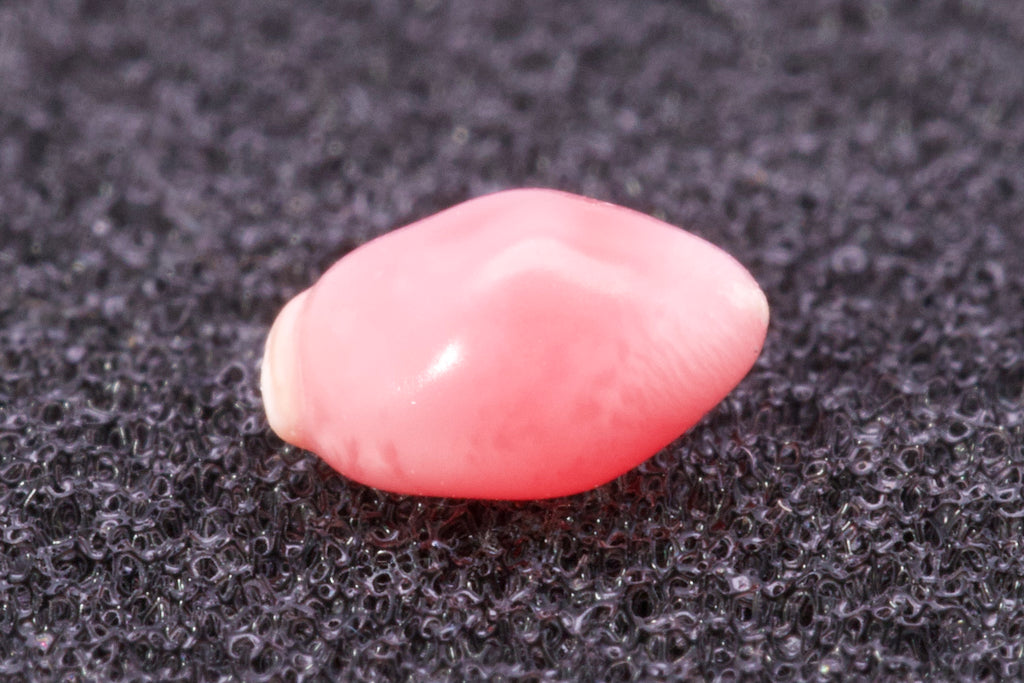 0.61ct Multi-Pink Pearl