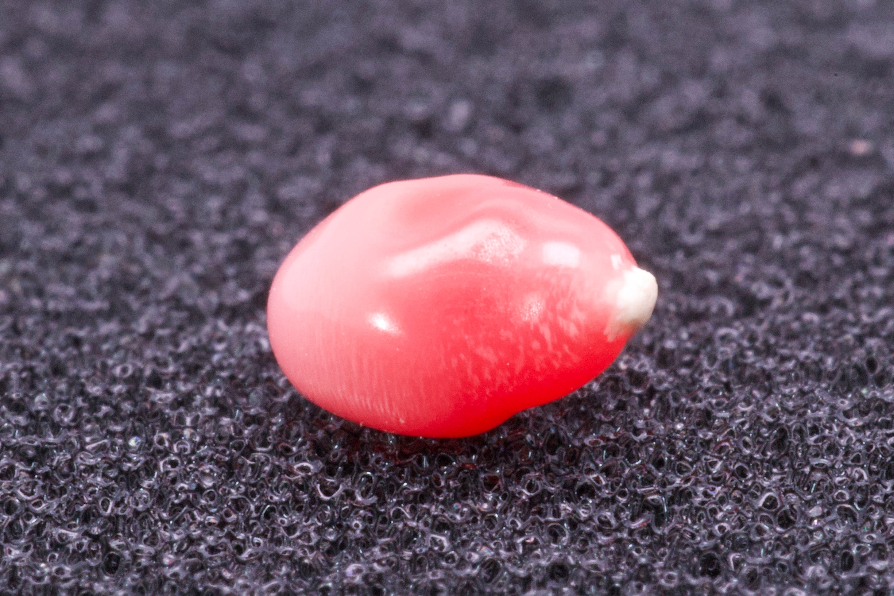 0.775ct Multi-Pink Pearl