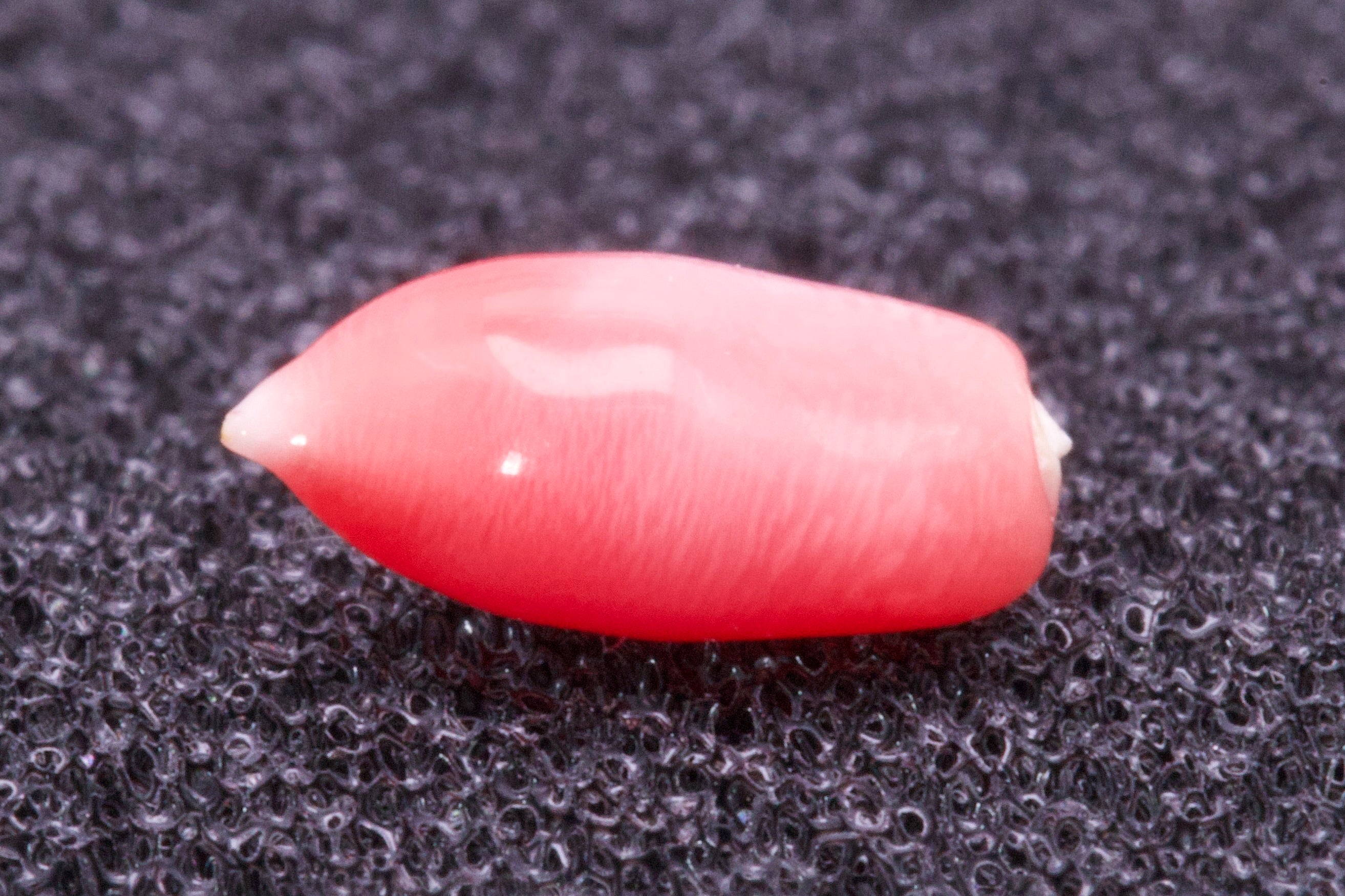 0.635ct Multi-Pink Pearl