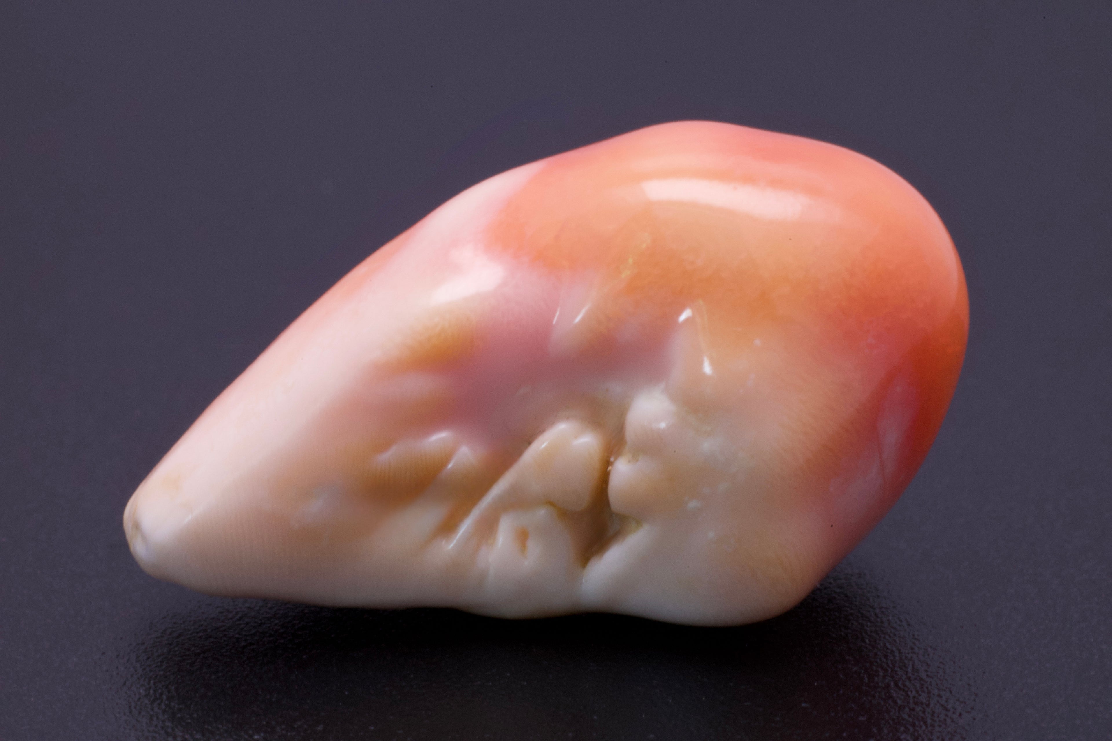Multi-Pink Large Conch Pearl