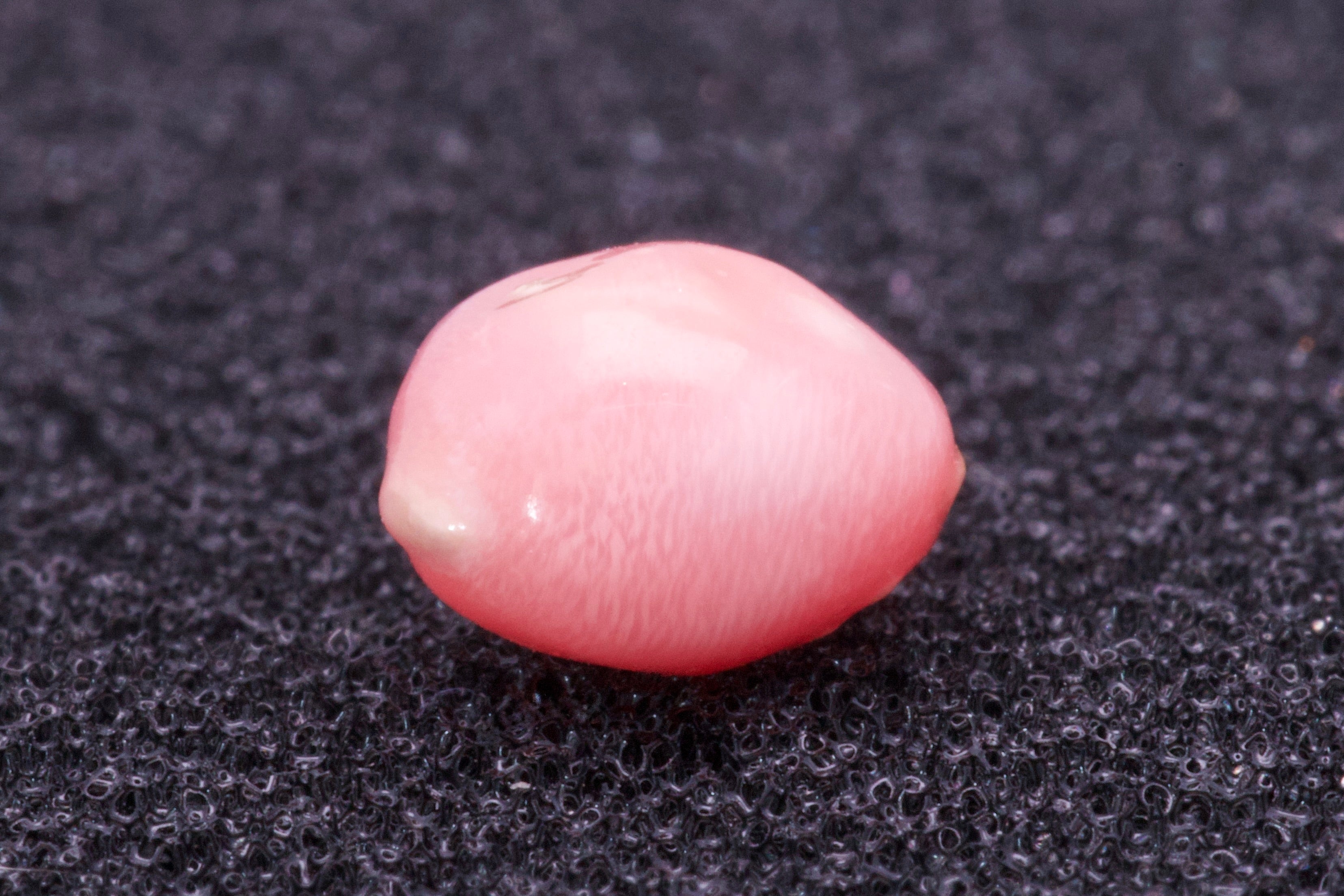 1.445ct Light-Pink Pearl