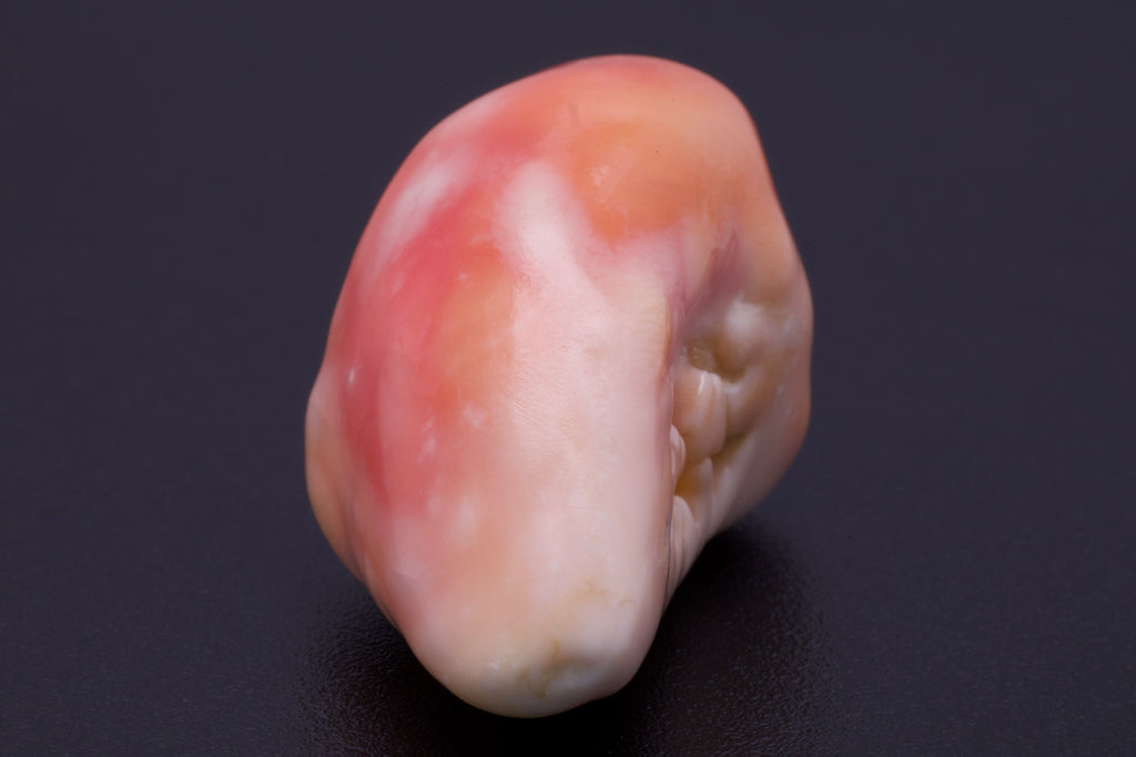 Multi-Pink Large Conch Pearl