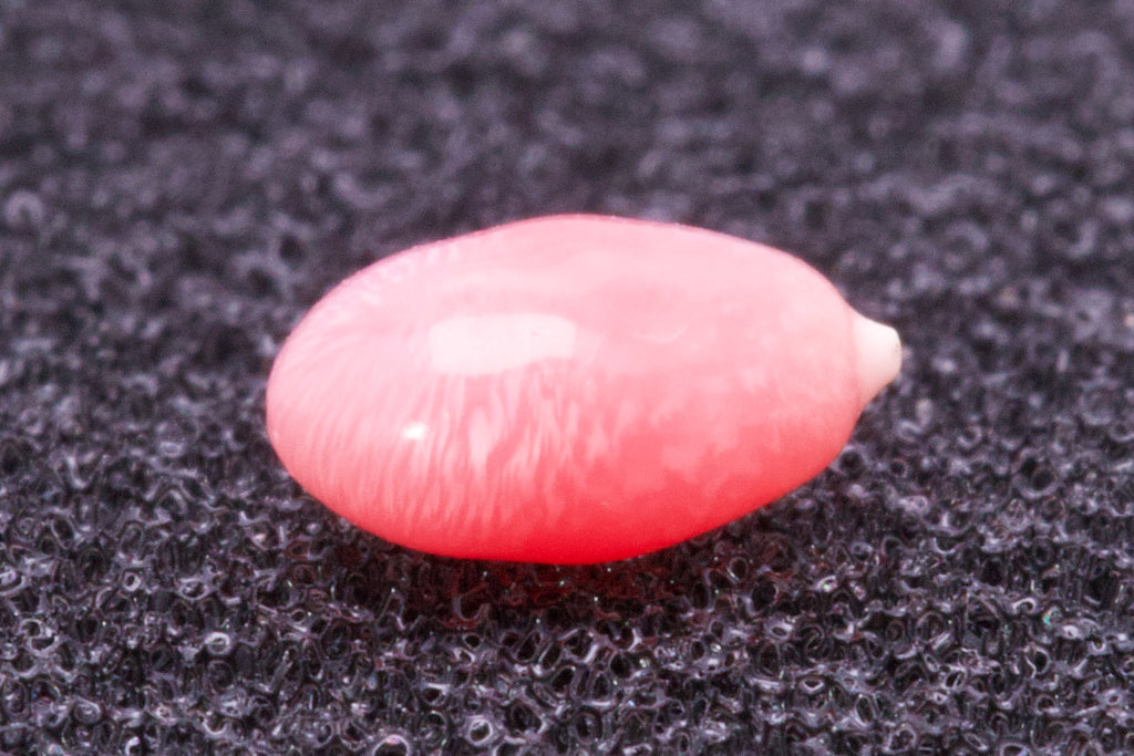 0.5ct Multi-Pink Pearl