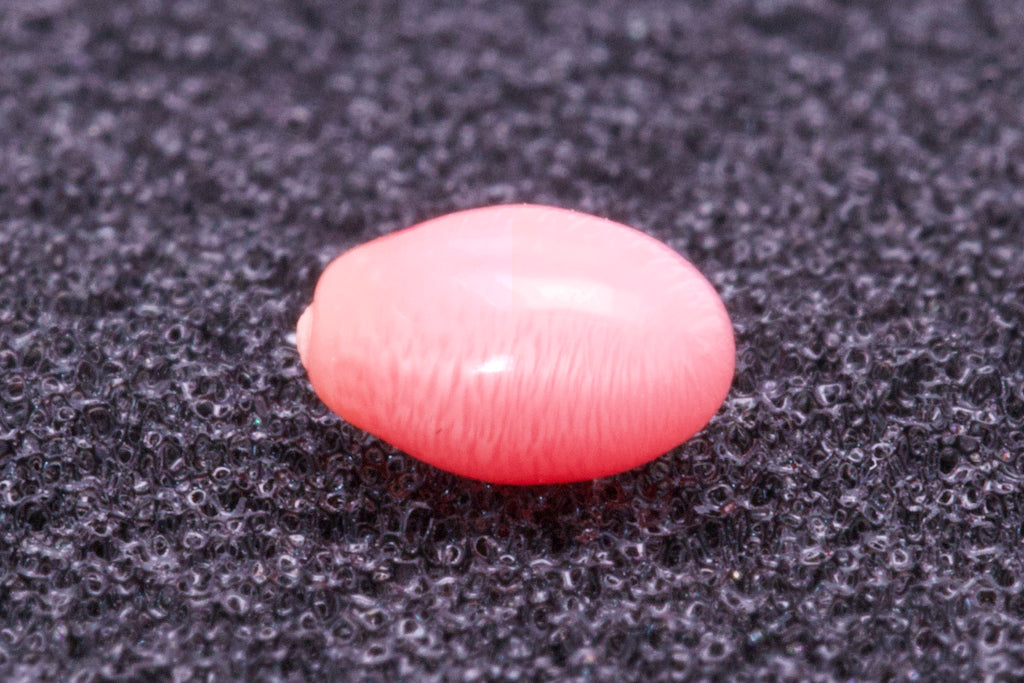 0.54ct Light-Pink Pearl