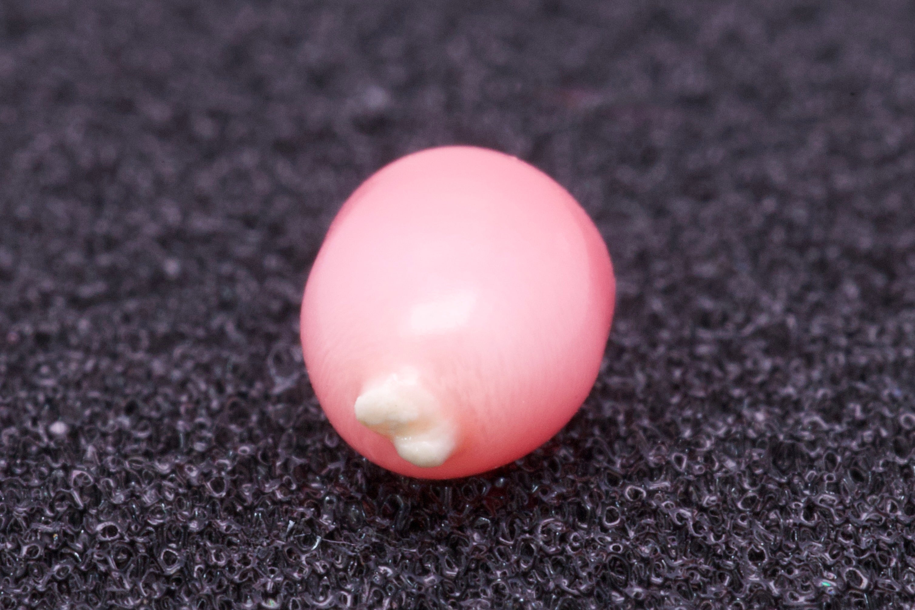 1.18ct Multi-Pink Pearl