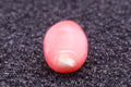 0.635ct Multi-Pink Pearl