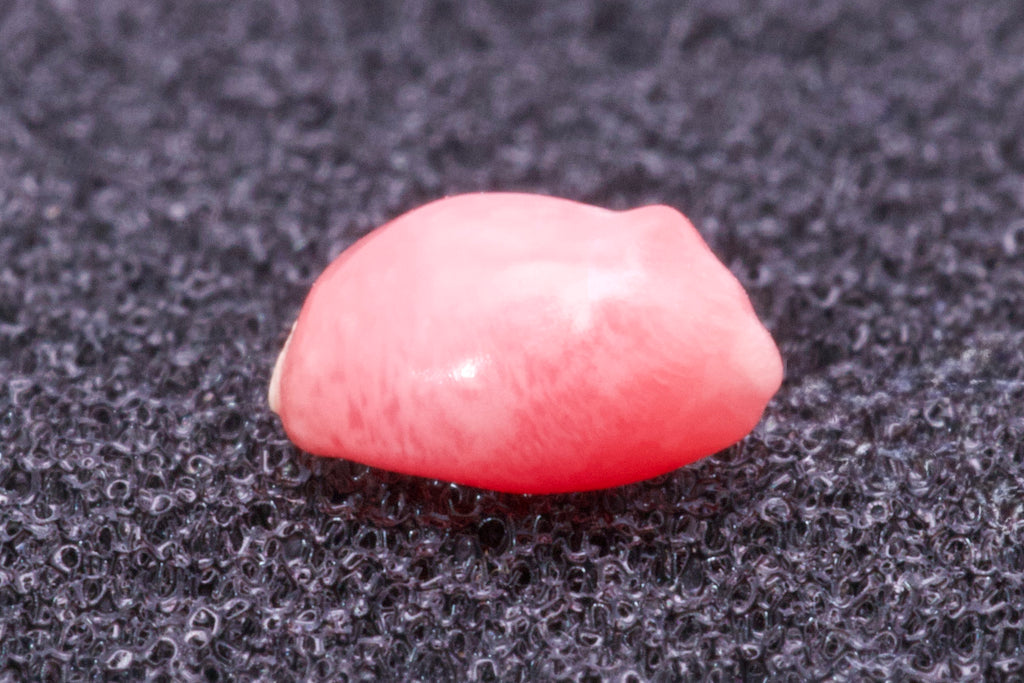 0.695ct Multi-Pink Pearl