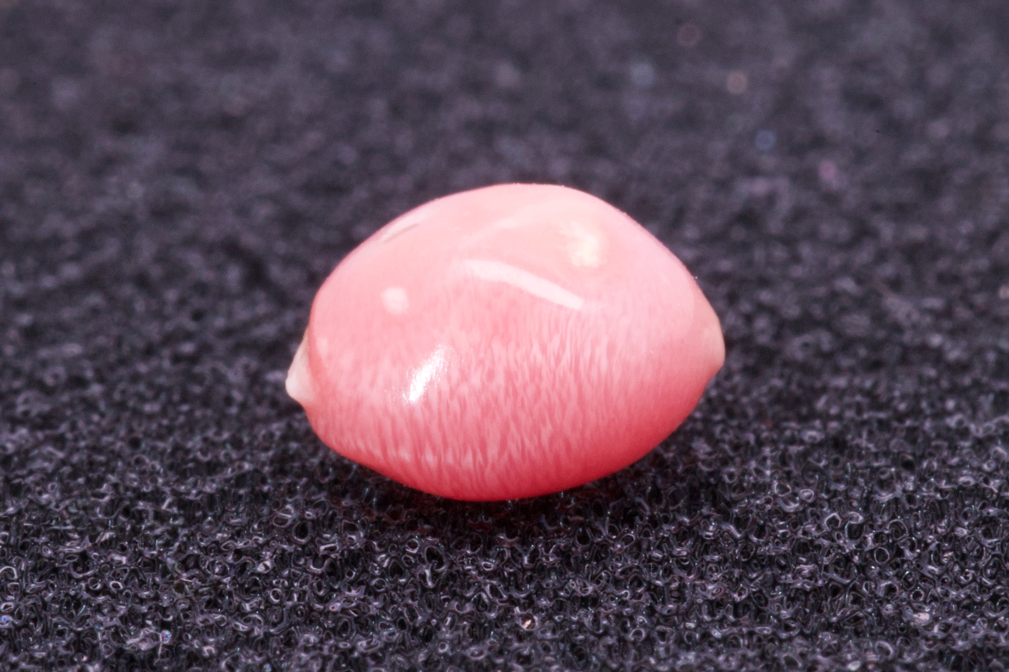 1.445ct Light-Pink Pearl