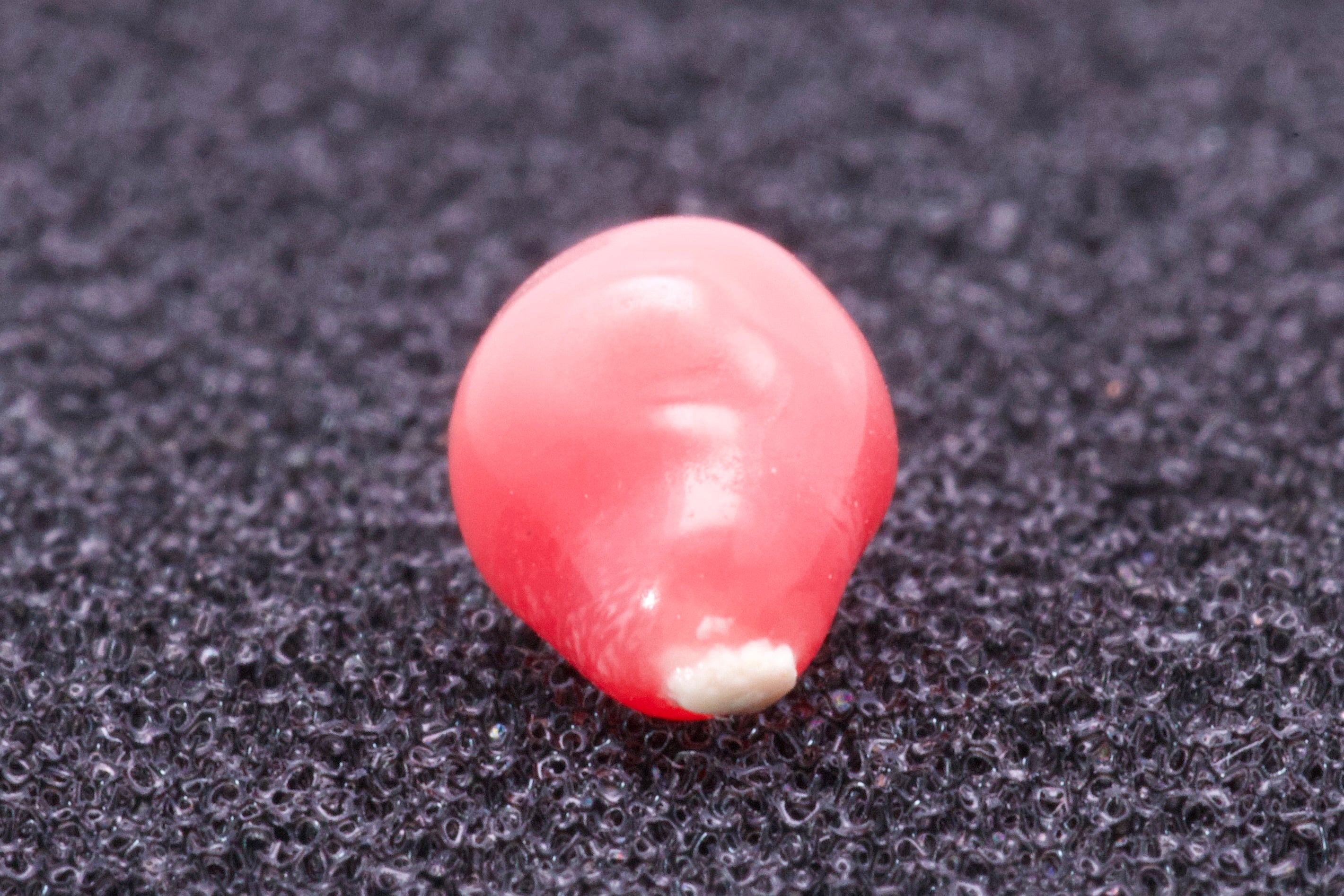 0.775ct Multi-Pink Pearl