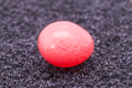 0.72ct Vivid-Pink Pearl