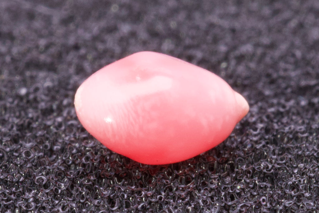 0.61ct Multi-Pink Pearl