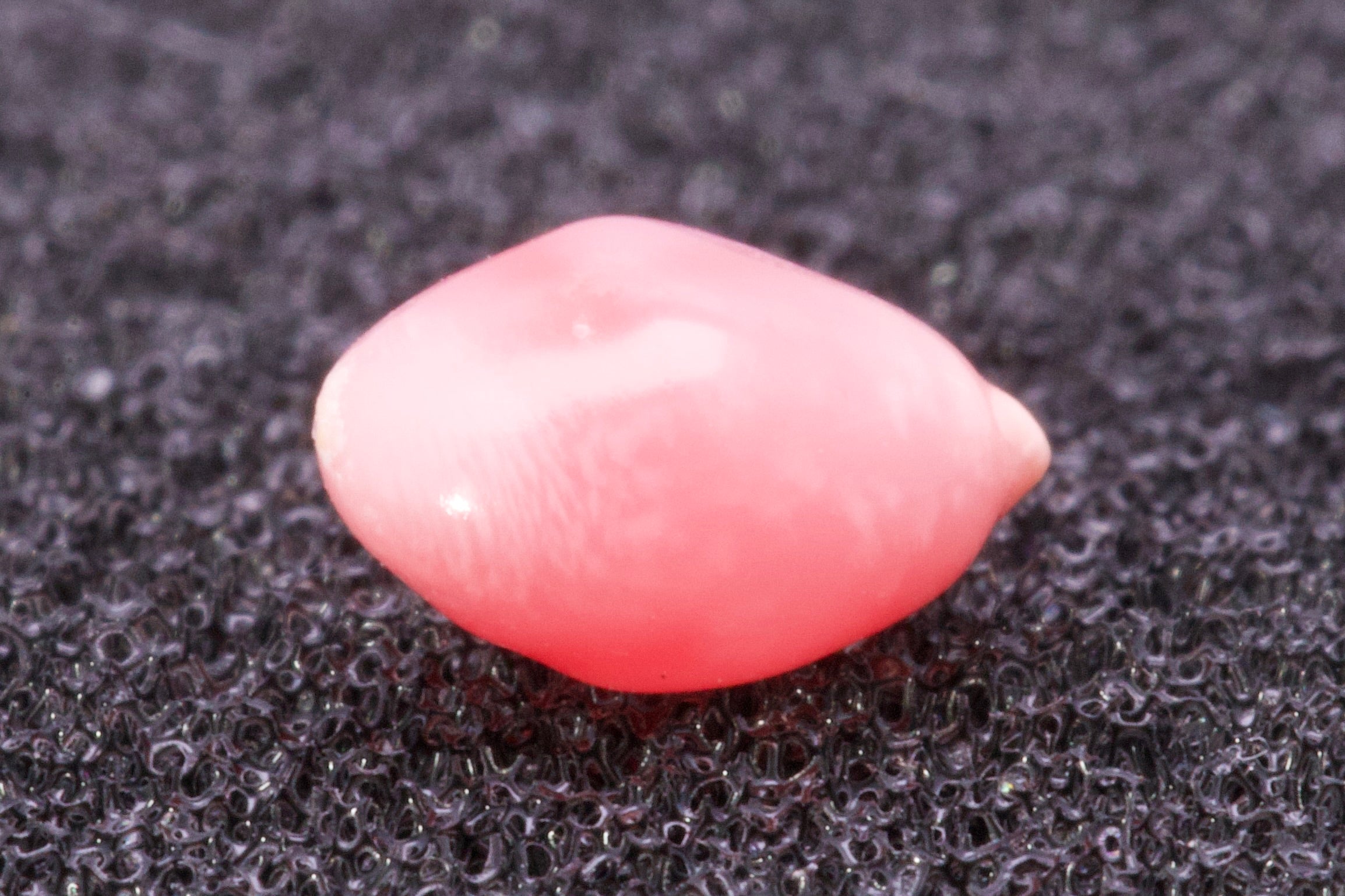 0.61ct Multi-Pink Pearl
